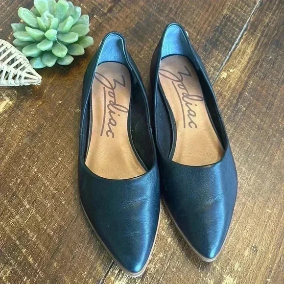 Zodiac | “Hill” Casual Flat, Soft Pointed Toe, Black - Picture 1 of 5